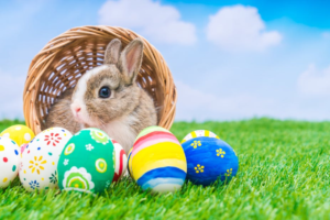Read more about the article Easter 2019